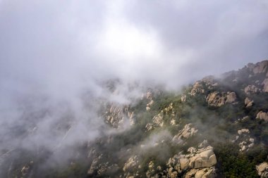 Qingdao 'daki Laoshan Dağı' nın güzel doğal manzarası.