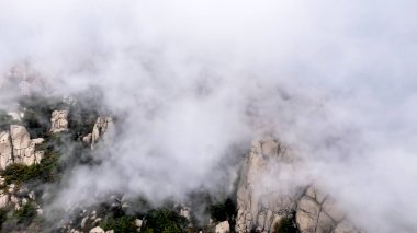 Qingdao 'daki Laoshan Dağı' nın güzel doğal manzarası.