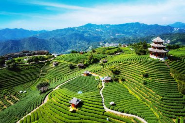Sanjiang Buyang Xianren Alp ekolojik Hava Fotoğrafları 