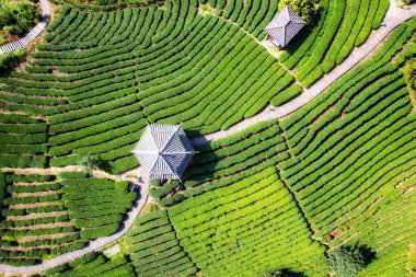 Sanjiang Buyang Xianren Alp ekolojik Hava Fotoğrafları 