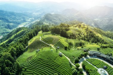 Sanjiang Buyang Xianren Alp ekolojik Hava Fotoğrafları 