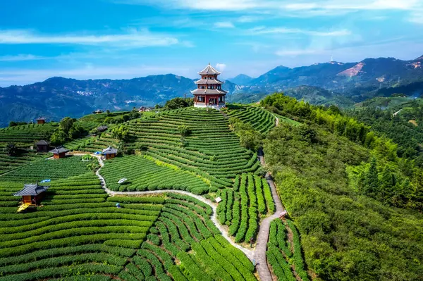 Sanjiang Buyang Xianren Alp ekolojik Hava Fotoğrafları 