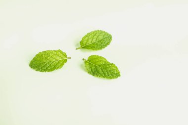 Beyaz üzerine izole edilmiş üç taze nane şekeri