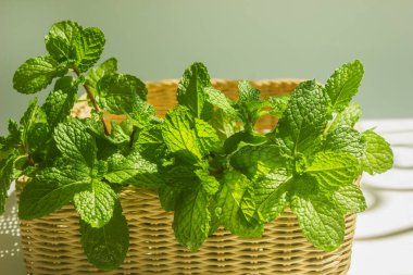 Hasır sepetteki nane yaprakları