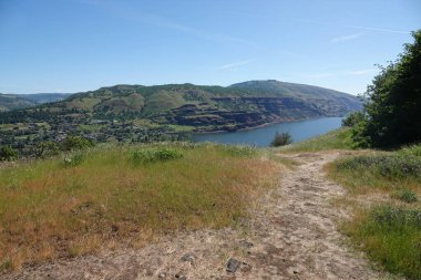 Scenic wide and high angle view on the Columbia river gorge valley from the Rowena crest viewpoint in Oregon clipart