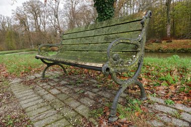 Sonbaharda ormanlık bir alanda, yosun ve yosunlu, yıpranmış ahşap bir park tezgahı..