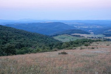 Manzaralı bir manzara ormanla kaplı yuvarlanan tepelere uzanan çimenli bir araziyi gösteriyor, karanlık bir gökyüzünün altında, barışçıl bir açık hava ortamı yaratıyor..
