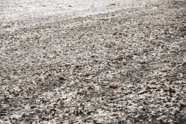 Karlı arka plan, beyaz ve kahverengi renkler, pürüzlü doku. Karda yeryüzünün çapraz çizimi, seçici odak.