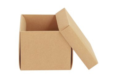 Kahverengi kutu beyaz arka planda izole edilmiş. kırpma yolu.