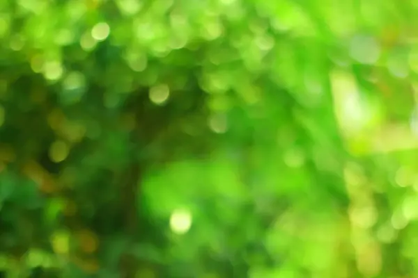 soyut yeşil bokeh arkaplanı.