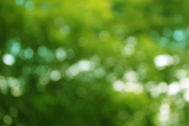 Bulanık boke sarı ve yeşil doğa.