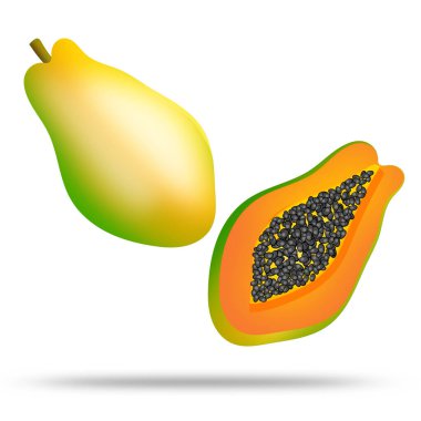 Papaya vektörü. Meyve beyaza izole edilmiş. Sağlıklı besin örnekleri.