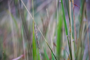 Fotoğrafı arkaplan için uygun soyut nesne ile stokla