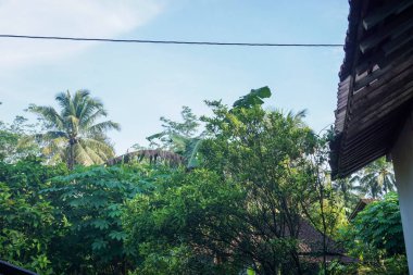 Taze köy atmosferinin stok fotoğrafı.