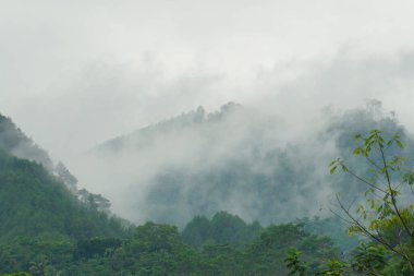 Taze köy atmosferinin stok fotoğrafı.