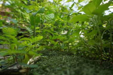 Fotoğrafı arkaplan için uygun soyut nesne ile stokla