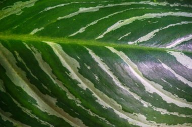 Fotoğrafı arkaplan için uygun soyut nesne ile stokla