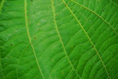 Fotoğrafı arkaplan için uygun soyut nesne ile stokla