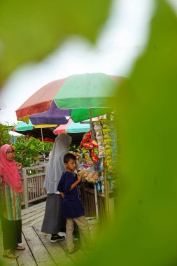 Bir sürü güzel bitkiyle dolu modern ev bahçesi kompozisyonunun stok fotoğrafı. Şık bir botanik tasarımı. Ev bahçesi konsepti.