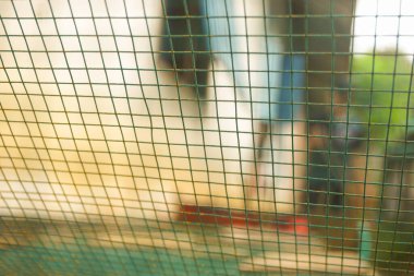 Portakal ağacının üzerinde boş bir yer olan portakal rengi arka plan. Ürün görüntüleme kurgusu için