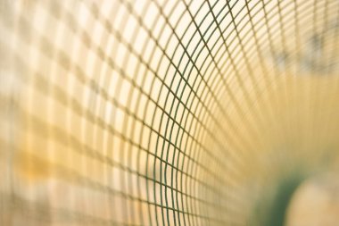 Portakal ağacının üzerinde boş bir yer olan portakal rengi arka plan. Ürün görüntüleme kurgusu için