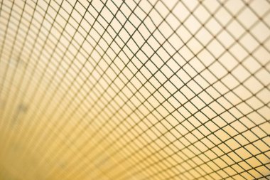 Portakal ağacının üzerinde boş bir yer olan portakal rengi arka plan. Ürün görüntüleme kurgusu için