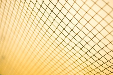 Portakal ağacının üzerinde boş bir yer olan portakal rengi arka plan. Ürün görüntüleme kurgusu için