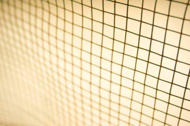 Portakal ağacının üzerinde boş bir yer olan portakal rengi arka plan. Ürün görüntüleme kurgusu için