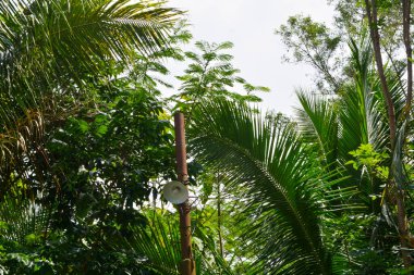 Taze çiçekler ve yeşil bitkilerin fotoğrafı