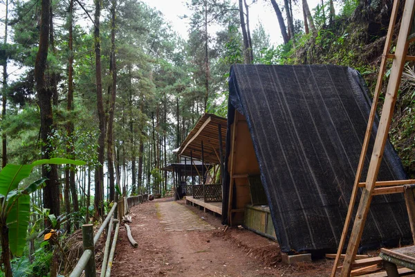 Απλό Σπίτι Στη Μέση Του Φυσικού Δάσους — Φωτογραφία Αρχείου