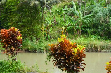 Karanlık bir gökyüzüne karşı hızlı akan akarsu ve dramatik merceksi bulutlar. Hiç kimse.