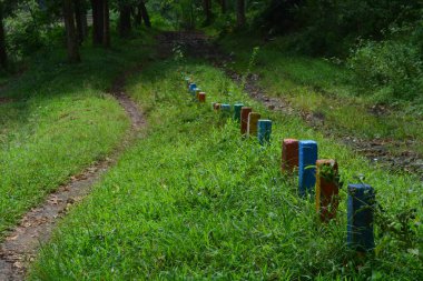 Endonezya 'daki Wonosobo şehir parkındaki solmuş ağaçların ve yeşil çayırların manzarası.