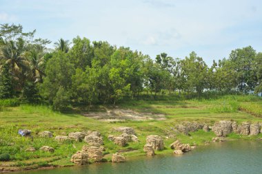 Endonezya 'da bir köydeki bir su manzarasının fotoğrafı