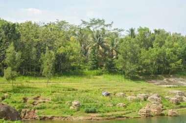 Endonezya 'da bir köydeki bir su manzarasının fotoğrafı