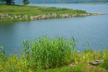 Endonezya 'da bir köydeki bir su manzarasının fotoğrafı