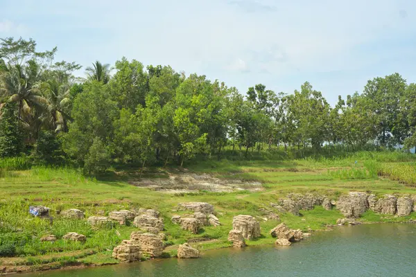 Endonezya 'da bir köydeki bir su manzarasının fotoğrafı