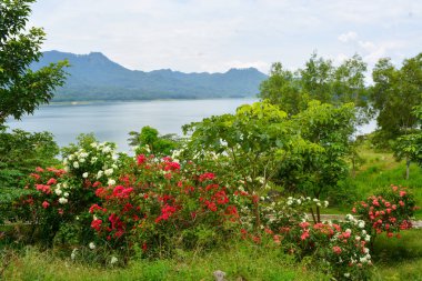 Tanjung Serut turist köyündeki parkın fotoğrafı.