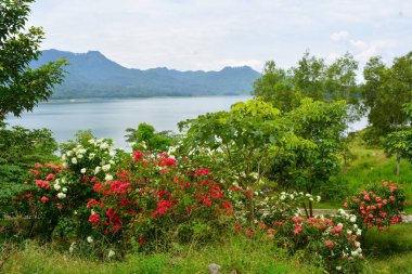 Tanjung Serut turist köyündeki parkın fotoğrafı.