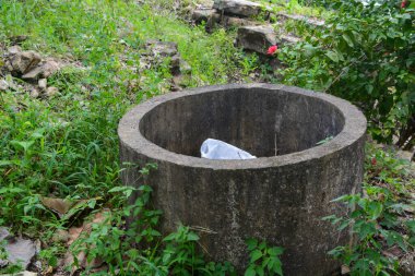 Endonezya 'daki Wonosobo şehir parkındaki solmuş ağaçların ve yeşil çayırların manzarası.