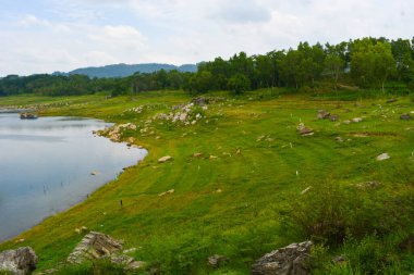 Endonezya 'da bir köydeki bir su manzarasının fotoğrafı
