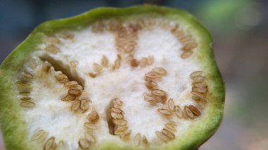 Doldurulmuş mor soğan ve patlıcan sebzeli makro fotoğraf.