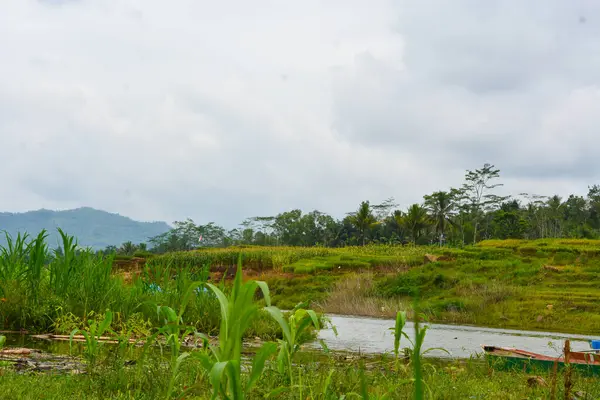 Endonezya 'da bir köydeki bir su manzarasının fotoğrafı
