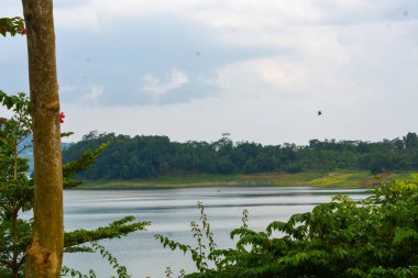 Endonezya 'da bir köydeki bir su manzarasının fotoğrafı