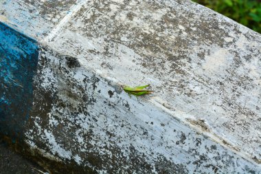 Su deposunun etrafındaki beyaz kayaların fotoğrafı.