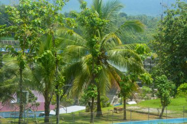 PLTA alanına girmek için girişi süsleyen bir kapı var. PLTA, Wadaslintang Wonosobo, Endonezya 'da yer almaktadır. Kimse yok..