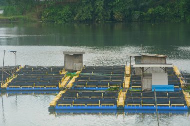 Wonosobo 'daki Wadaslintang barajının ortasında balık göletleri. Arka planda gökyüzü ve barajın kenarında bir sürü ağaç var. Kimse yok..