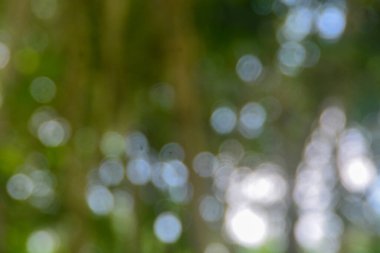 Bulanık şehir parkı bokeh arkaplanı