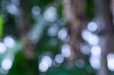 Bulanık şehir parkı bokeh arkaplanı