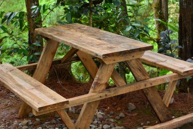 Bahçenin ortasında tek başına beyaz bir bank..