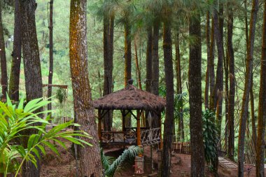 Ormandaki eğitim turizmi köyü, Endonezya 'daki turizm köyü